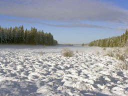 IMGP9383_Vinterstemning